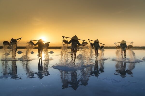 Workers harvesting salt at sunrise in Vietnam
