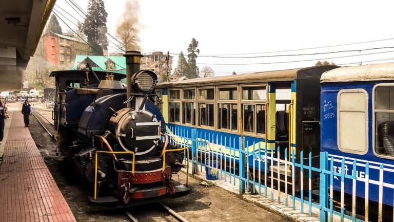 Darjeeling Himalayan Railway steam toy train at the platform