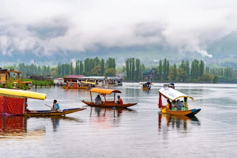 Shikara boats gliding across Dal Lake on a cloudy morning