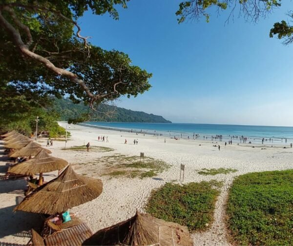 Sandy Goa beach with thatched beach huts under a blue sky
