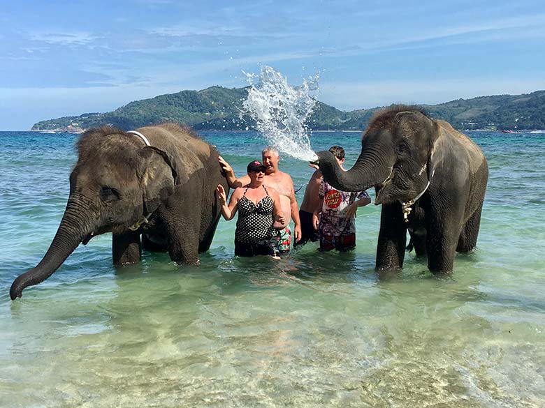 Elephant Beach Excursion