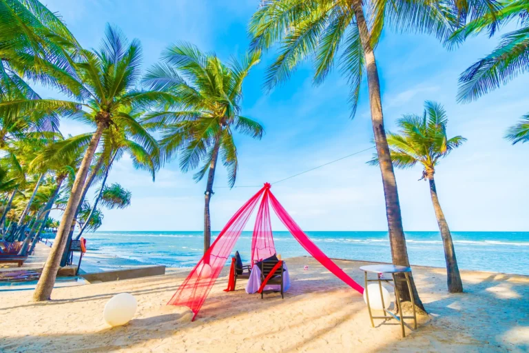 Pink canopy and palm trees on a sunny Goa beach