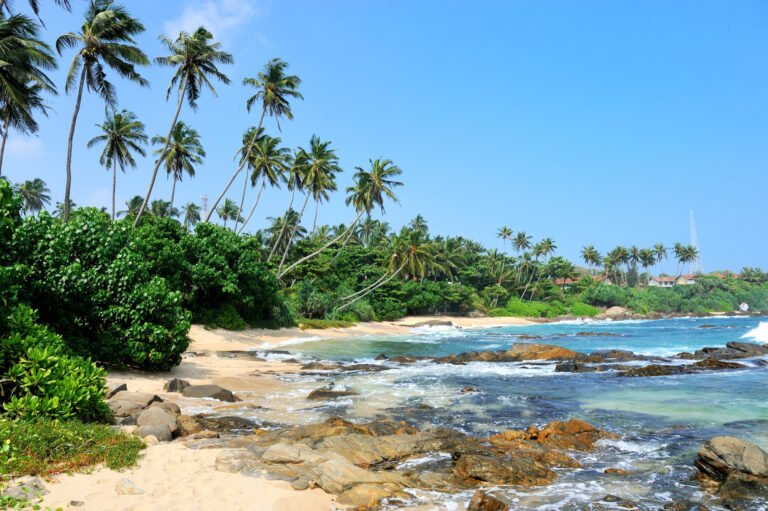 Palm-fringed golden beach and rocky shoreline in Goa