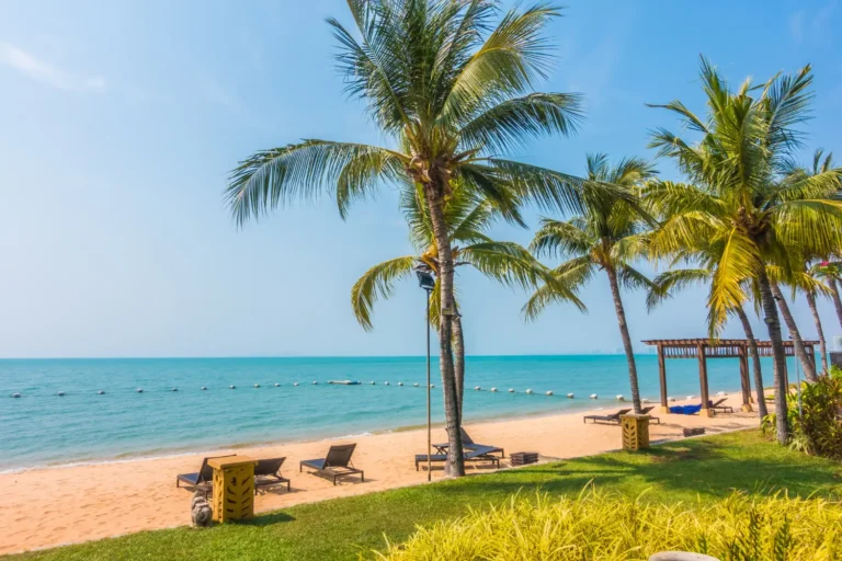 Palm trees and a turquoise sea on a Goa beach