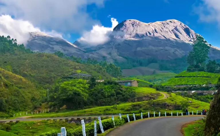 Green hills and a mountain peak above a winding road at Haflong