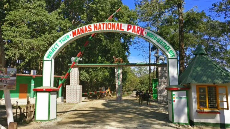 Entrance gate of Manas National Park