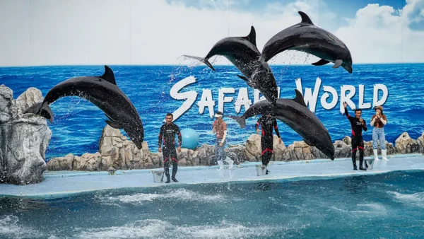 Dolphin show at Safari World in Bangkok, Thailand