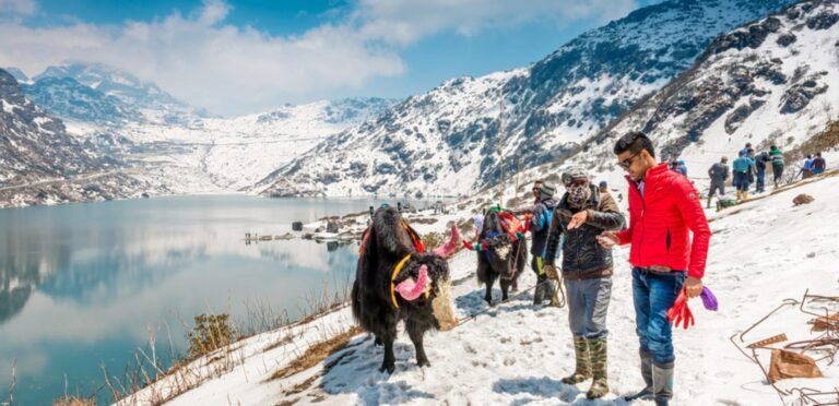 Yaks and snow around a frozen lake in North Sikkim