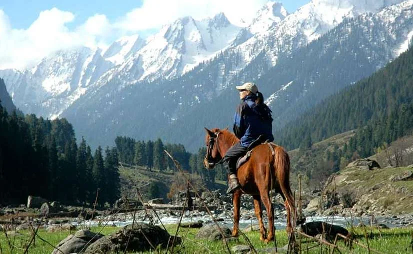 Srinagar- Pahalgam- Srinagar