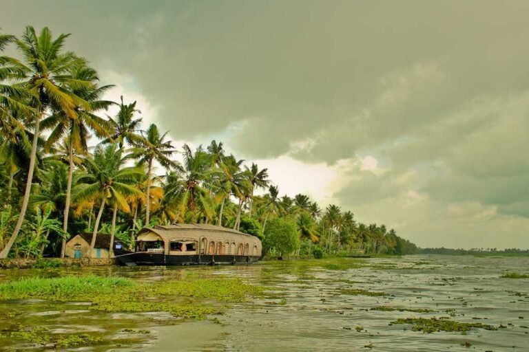 Houseboat among coconut palms on Kumarakom backwaters