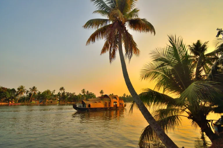Houseboat on the Kerala backwaters at sunset framed by coconut palms