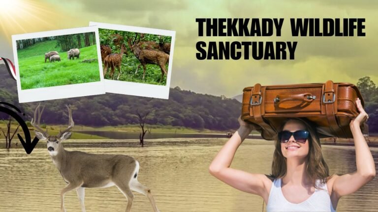 Deer beside a lake in Thekkady wildlife sanctuary