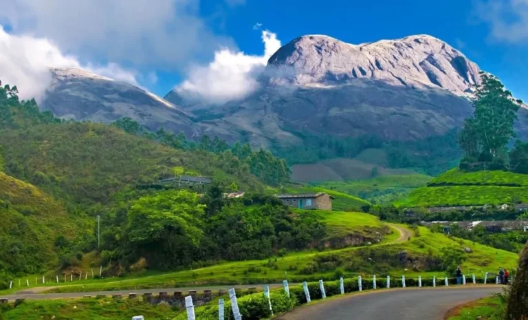 Green tea-covered hills and misty mountains of Munnar, Kerala