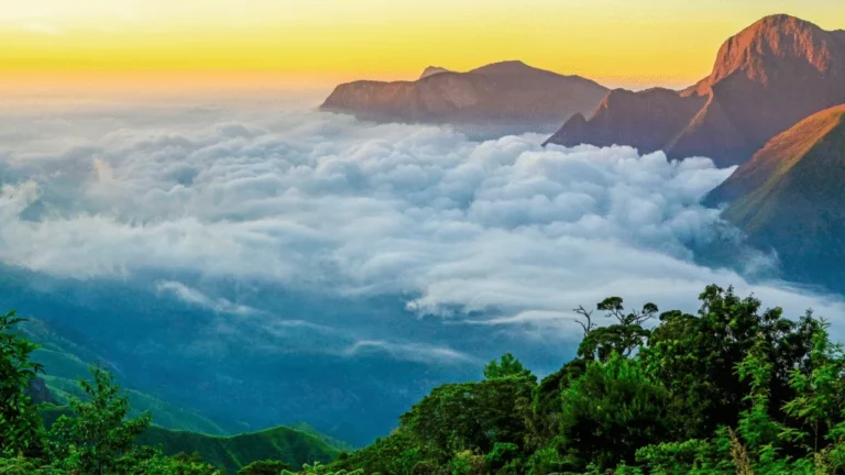 Clouds rolling over the misty mountains of Munnar